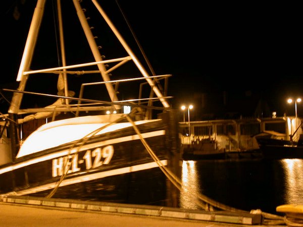 DSCN4083.JPG