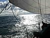 DSCN4133.JPG