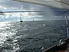 DSCN4141.JPG