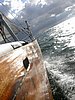 DSCN4202.JPG
